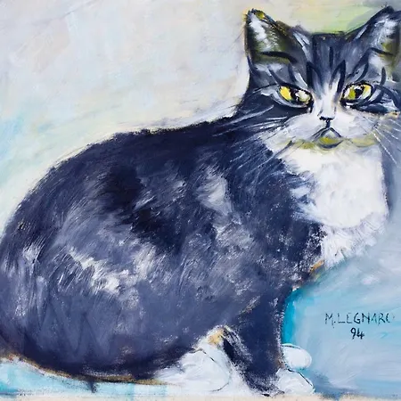 Locazioni Turistiche By Max מונטגרוטו טרמה