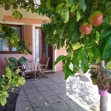 Locazioni Turistiche By Max Konukevi